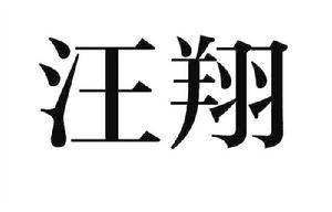 汪翔[詞語]