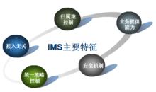 圖1 IMS主要特徵