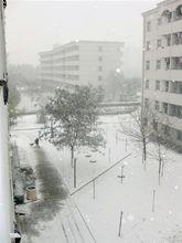 雪災事件