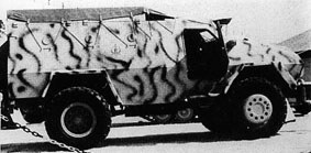 埃及瓦利德輪式裝甲人員輸送車