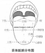 灰黑苔