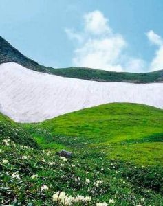 高山苔原景觀帶