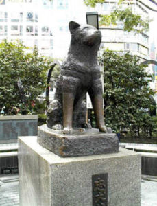 八公犬[日本忠犬八公]