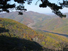 懷仁村[廣西大新縣雷平鎮懷仁村]