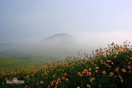 大悟雙橋花山