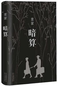 暗算[麥家創作長篇小說]