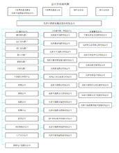 天津中新藥業集團股份有限公司組織機構圖