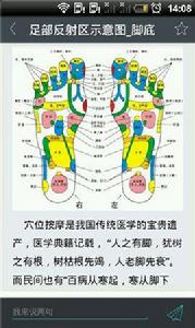 足底穴位大全