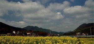 朵雲生態農業園