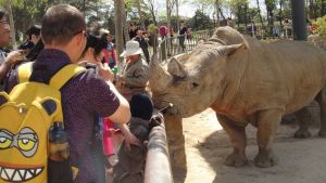 跑馬嶺野生動物世界