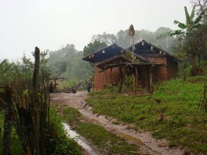 蜜蜂溝村