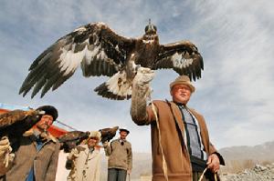 (5圖片)柯爾克孜族的養鷹人