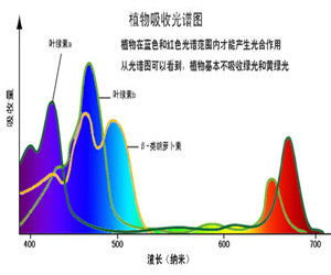 吸收光譜