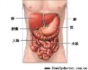 胰腺分裂