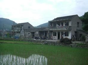 蛟龍村[湖南省衡陽市衡山縣嶺坡鄉下轄村]