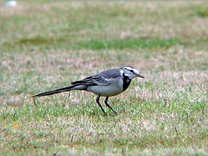 （圖）筆架山公園