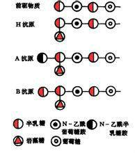 反應原性