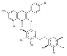 山奈酚-3-O-芸香糖苷