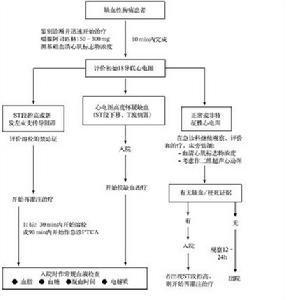 （圖）老年人缺血性結腸炎