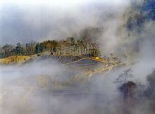 紅河哈尼梯田風景