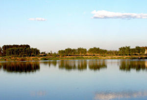 稻香湖自然濕地公園