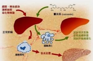 致病因子