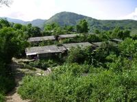 金竹寨村
