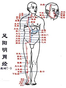 人體穴點陣圖