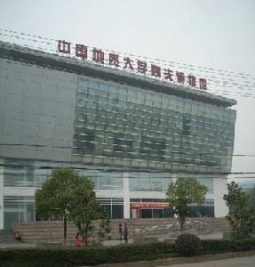 中國地質大學博物館