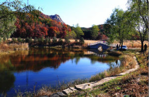 六里坪國家森林公園