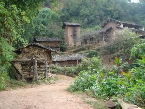 龍塘村[雲南省普洱景谷縣威遠鎮龍塘村民委員會]