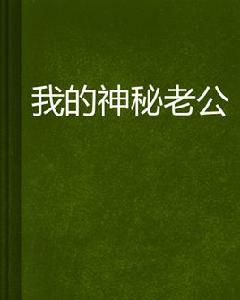 我的神秘老公[起點小說]