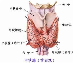 甲狀腺功能異常伴發的精神障礙