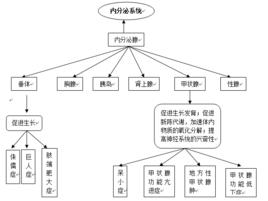 調節型分泌途徑