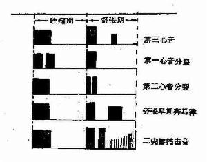 臨床常見三音律示意圖