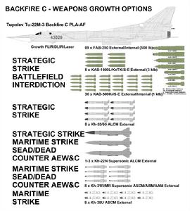 （圖）TU-22“眼罩”轟炸機掛彈示意圖