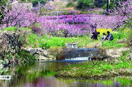 桃花塢[六安桃花塢]