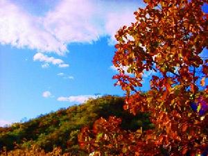 雲蒙山風光2