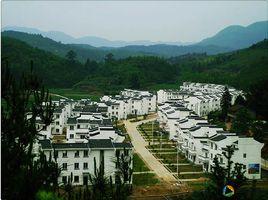 台上村[福建南平邵武市城郊鎮台上村]