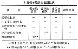 假單胞菌科