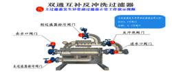 雙通互補反衝洗過濾器