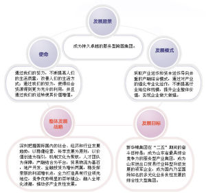 新華錦集團發展戰略