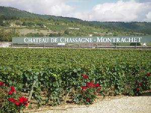 Chassagne-Montrachet