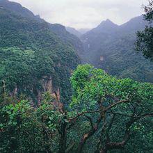 保康美景