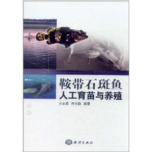 鞍帶石斑魚人工育苗與養殖