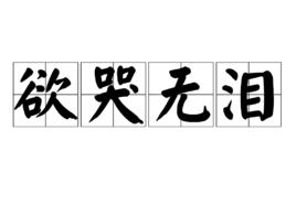 欲哭無淚[漢語詞語]