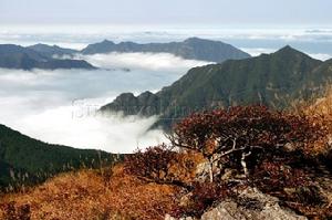 鳳陽山自然保護區