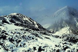 台灣雪山