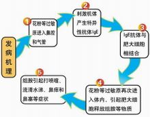 哮喘性支氣管炎