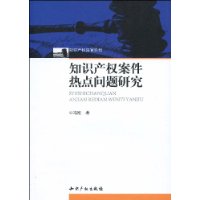 智慧財產權案件熱點問題研究